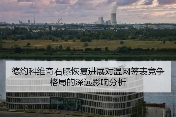 de-yue-ke-wei-qi-you-xi-hui-fu-jin-zhan-dui-wen-wang-qian-biao-jing-zheng-ge-ju-de-shen-yuan-ying-xiang-fen-xi-2-574.jpg